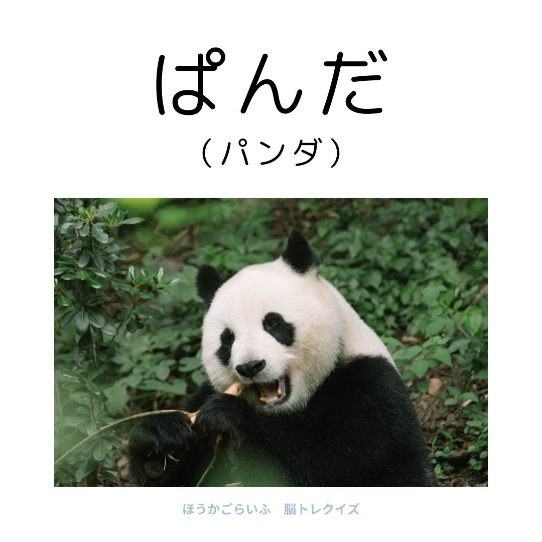 高齢者向け（無料）言葉の並び替えで脳トレしよう！文字（ひらがな）を並び替える簡単なゲーム【動物の名前】健康寿命を延ばす鍵